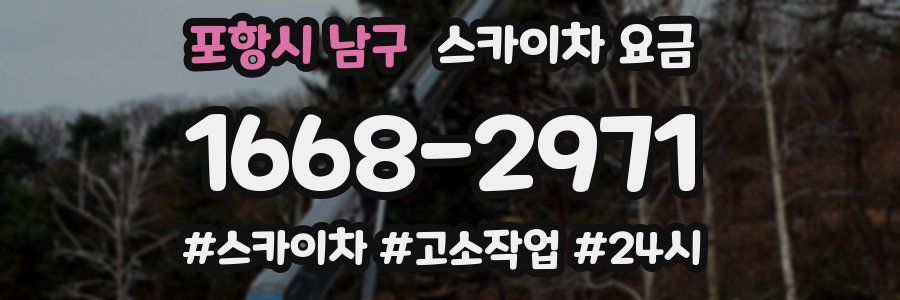 포항시 남구 스카이차 요금