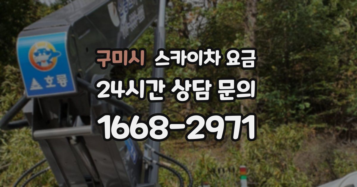 구미시 스카이차 요금