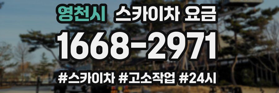 영천시 스카이차 요금