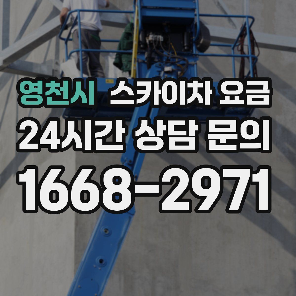 영천시 스카이차 요금