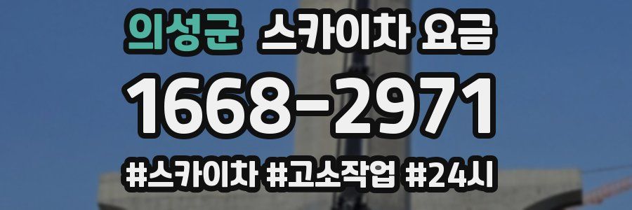 의성군 스카이차 요금