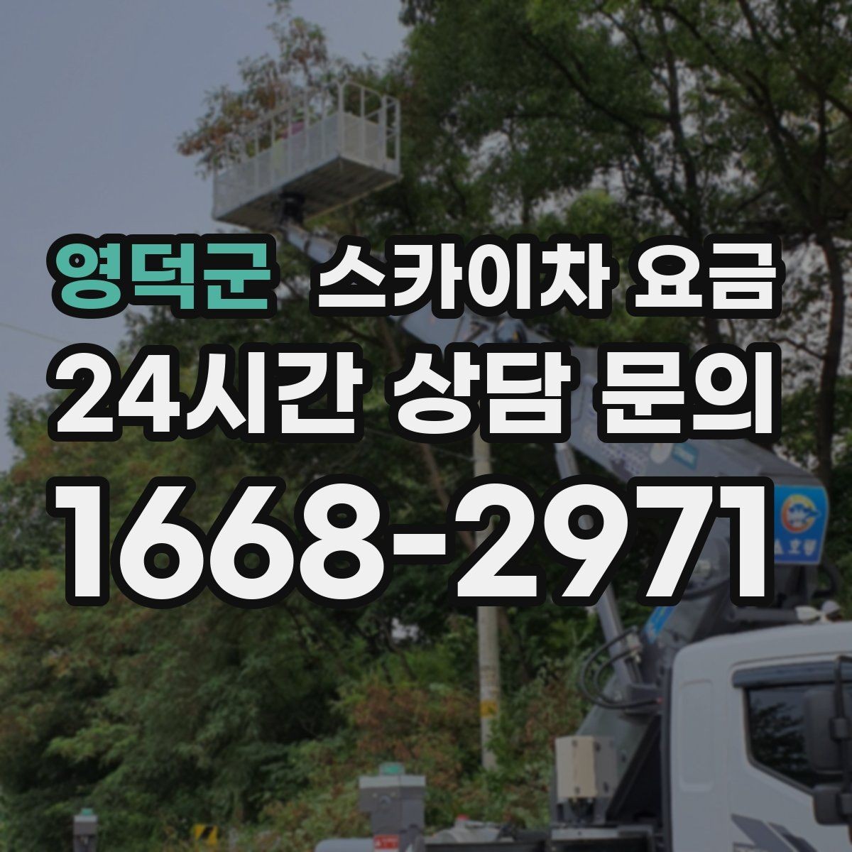 영덕군 스카이차 요금 외벽 타일 건물은 무엇을 더 확인해야 할까