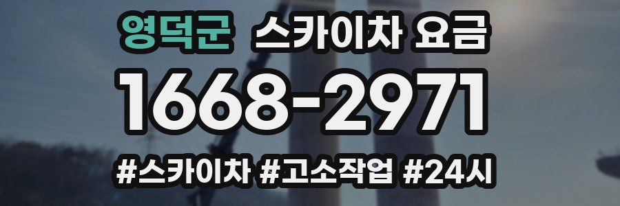 영덕군 스카이차 요금