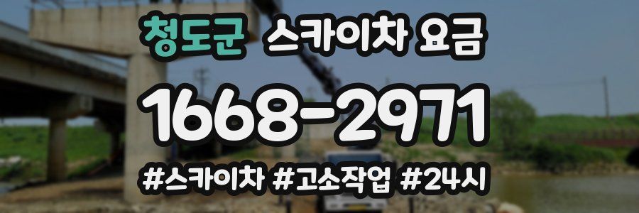 청도군 스카이차 요금