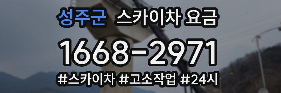 성주군 스카이차 요금