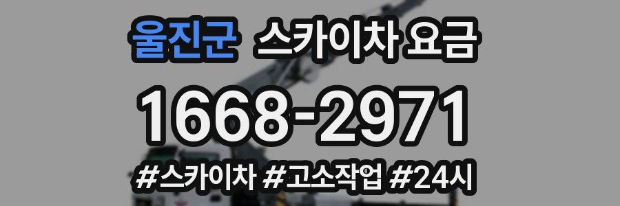 울진군 스카이차 요금