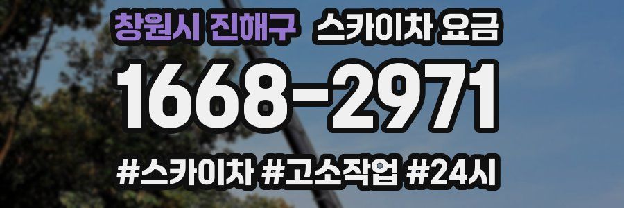 창원시 진해구 스카이차 요금