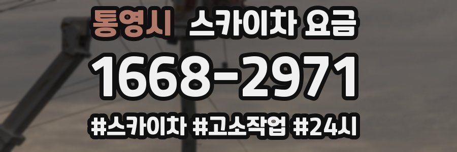 통영시 스카이차 요금