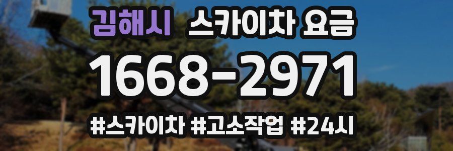 김해시 스카이차 요금