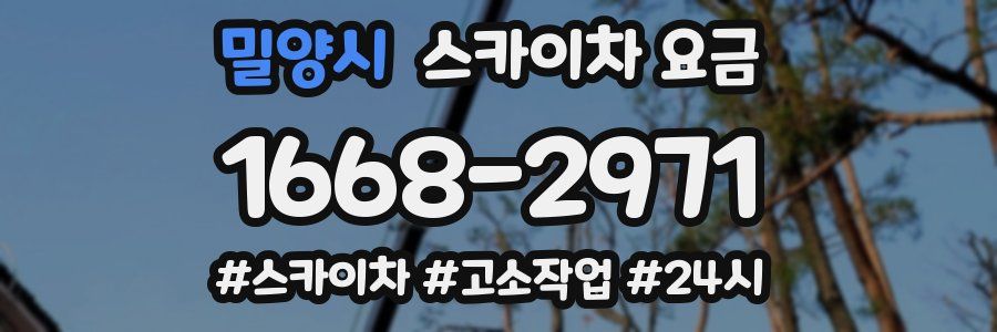 밀양시 스카이차 요금