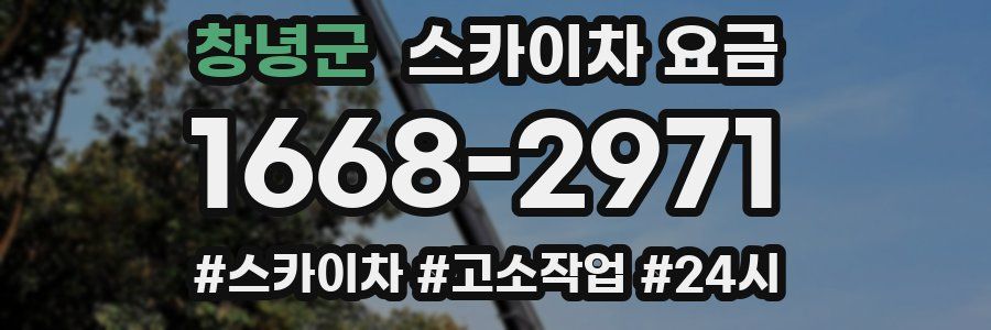 창녕군 스카이차 요금
