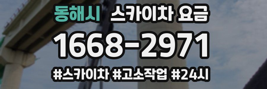 동해시 스카이차 요금