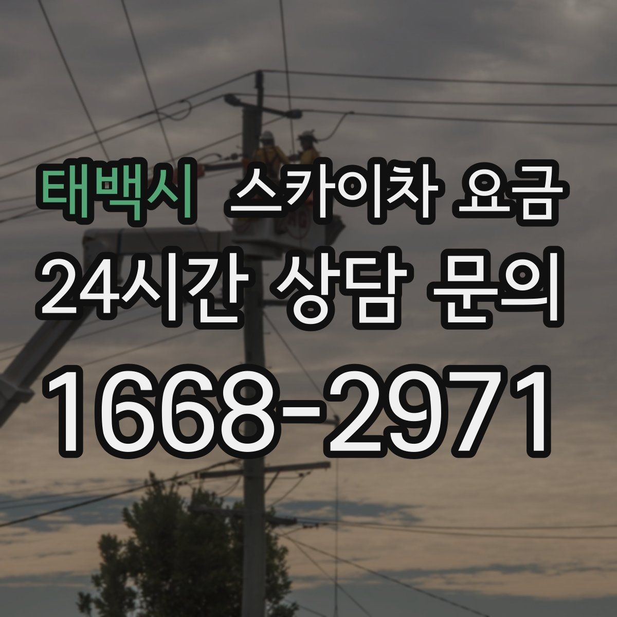 태백시 스카이차 요금 한 번에 정확히 안내받는 문의 템플릿