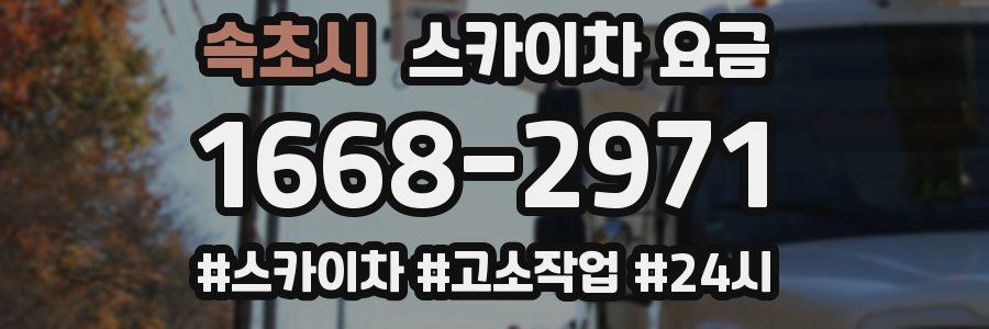 속초시 스카이차 요금