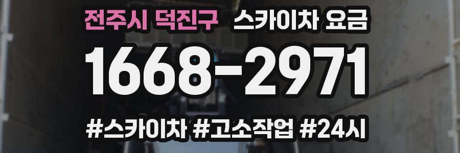 전주시 덕진구 스카이차 요금