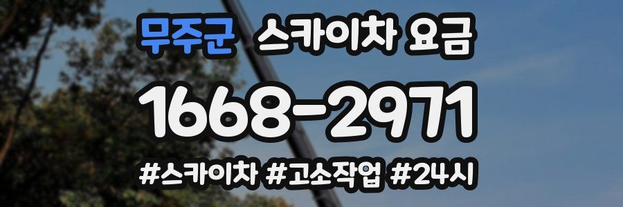 무주군 스카이차 요금