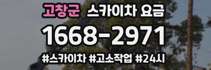 고창군 스카이차 요금