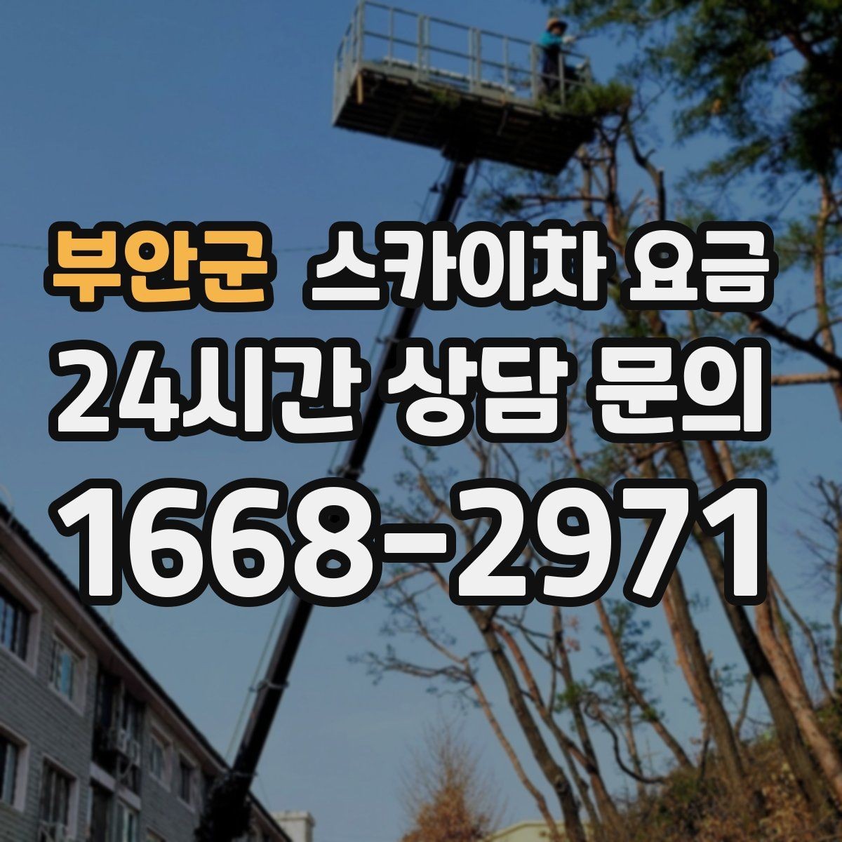 부안군 스카이차 요금 도로 폭이 좁으면 장비 선택이 달라질까