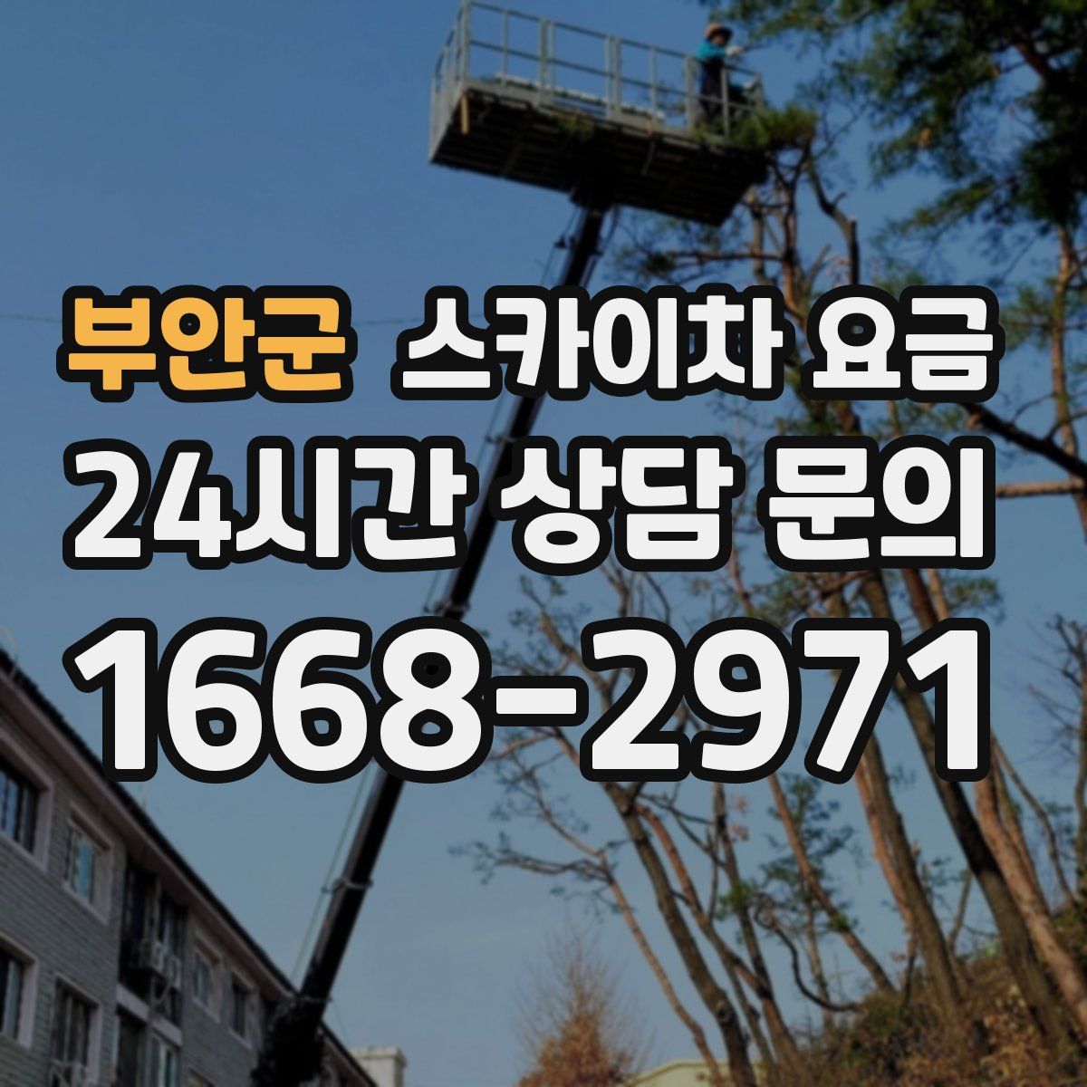 부안군 스카이차 요금