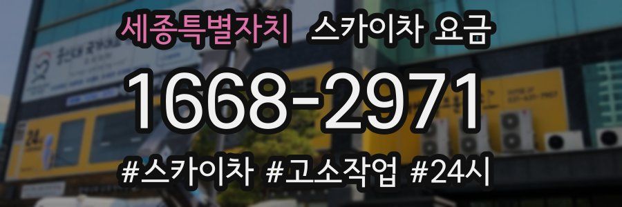 세종특별자치 스카이차 요금