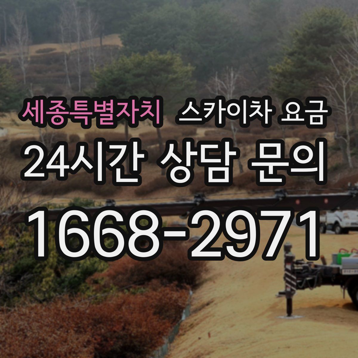 세종특별자치 스카이차 요금