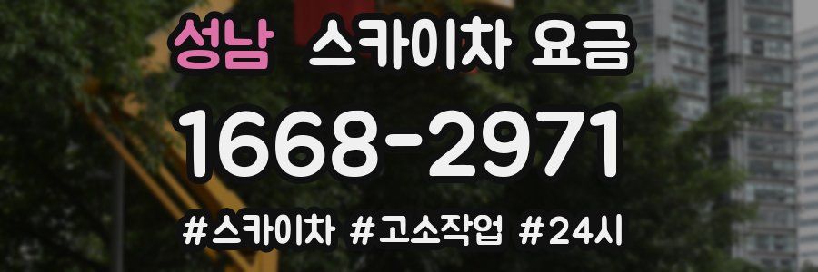 성남 스카이차 요금