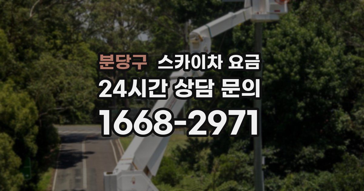 분당구 스카이차 요금