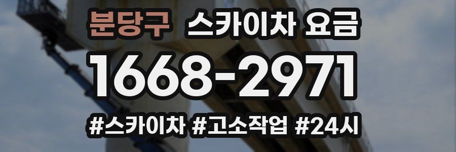 분당구 스카이차 요금