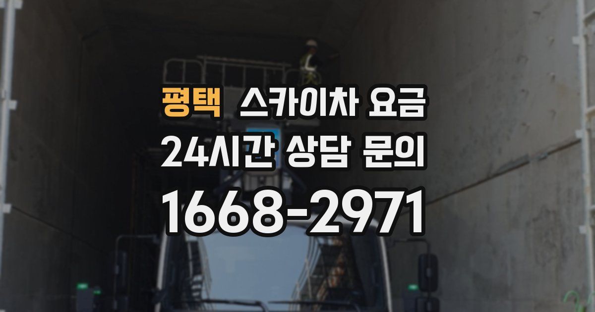 평택 스카이차 요금