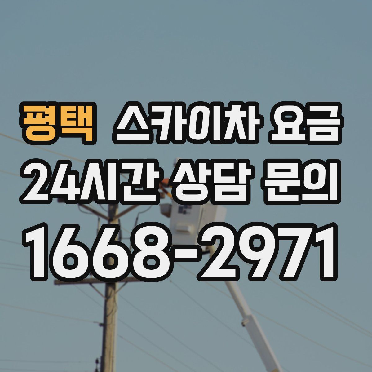 평택 스카이차 요금