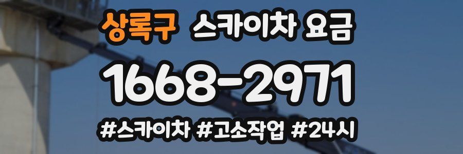 상록구 스카이차 요금