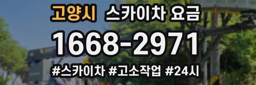 고양시 스카이차 요금