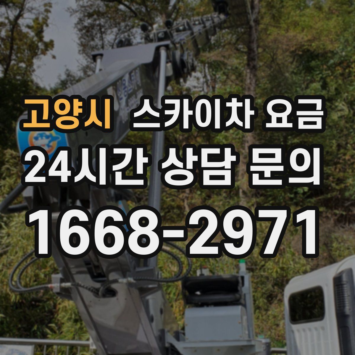 고양시 스카이차 요금