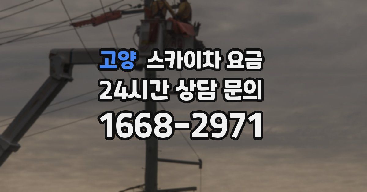 고양 스카이차 요금