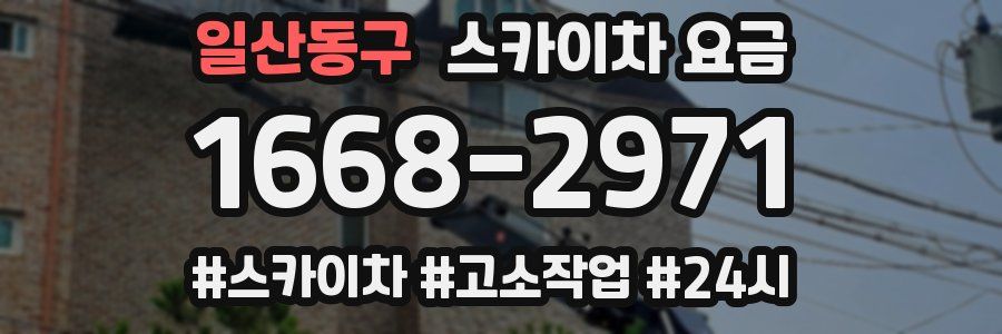 일산동구 스카이차 요금