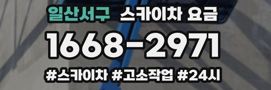 일산서구 스카이차 요금