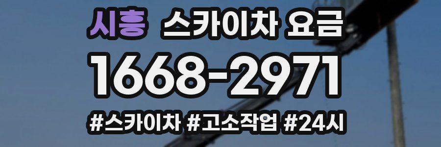 시흥 스카이차 요금