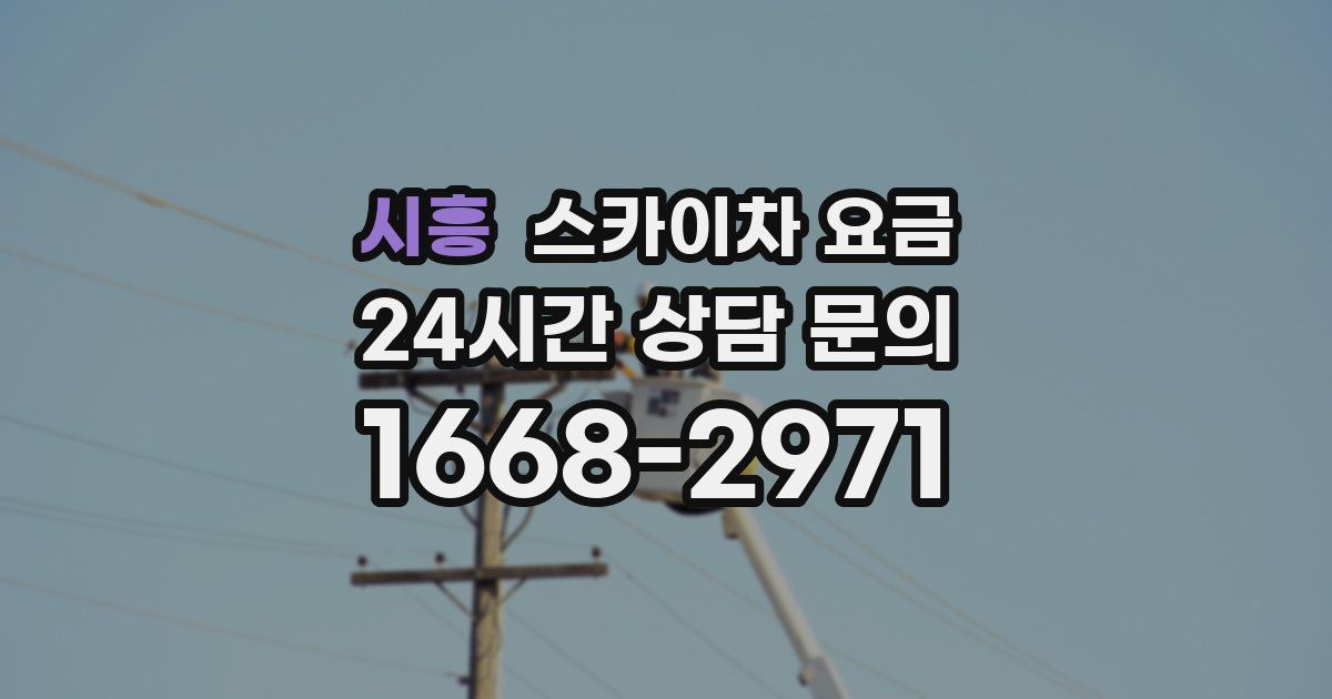 시흥 스카이차 요금