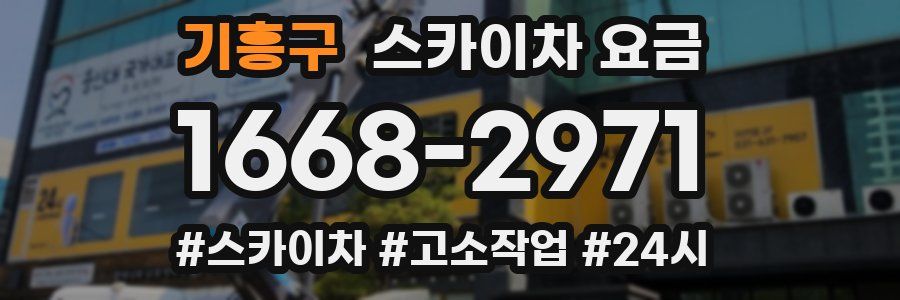 기흥구 스카이차 요금