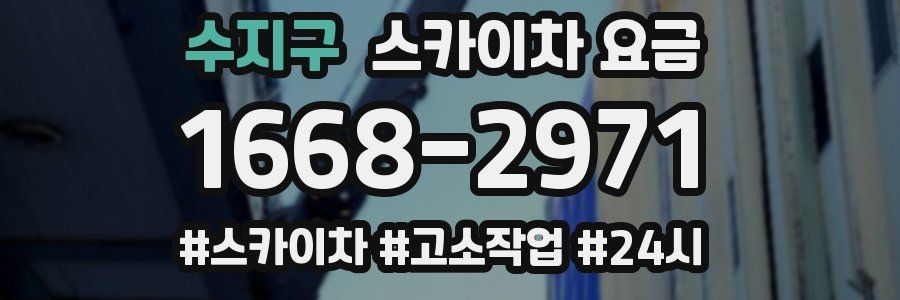 수지구 스카이차 요금