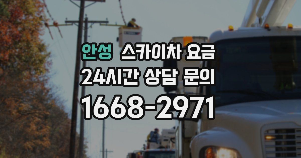 안성 스카이차 요금