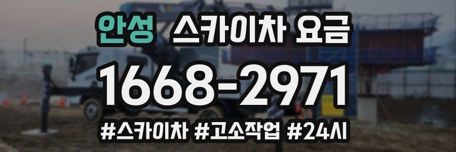 안성 스카이차 요금