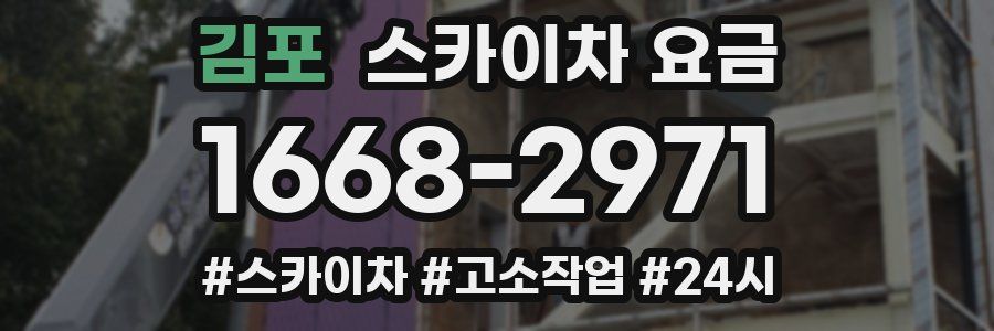 김포 스카이차 요금