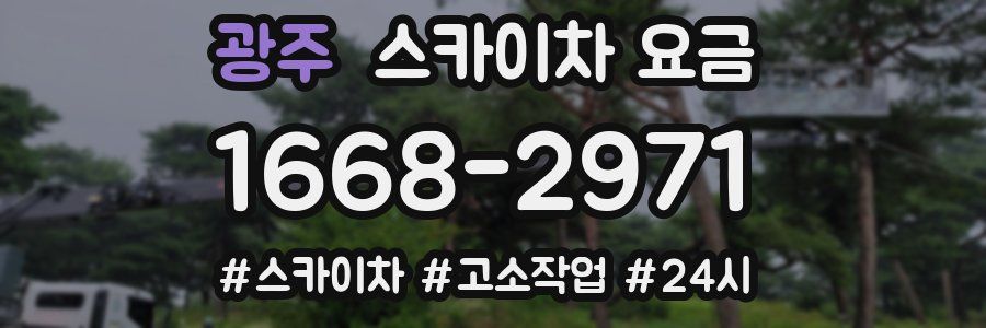 광주 스카이차 요금