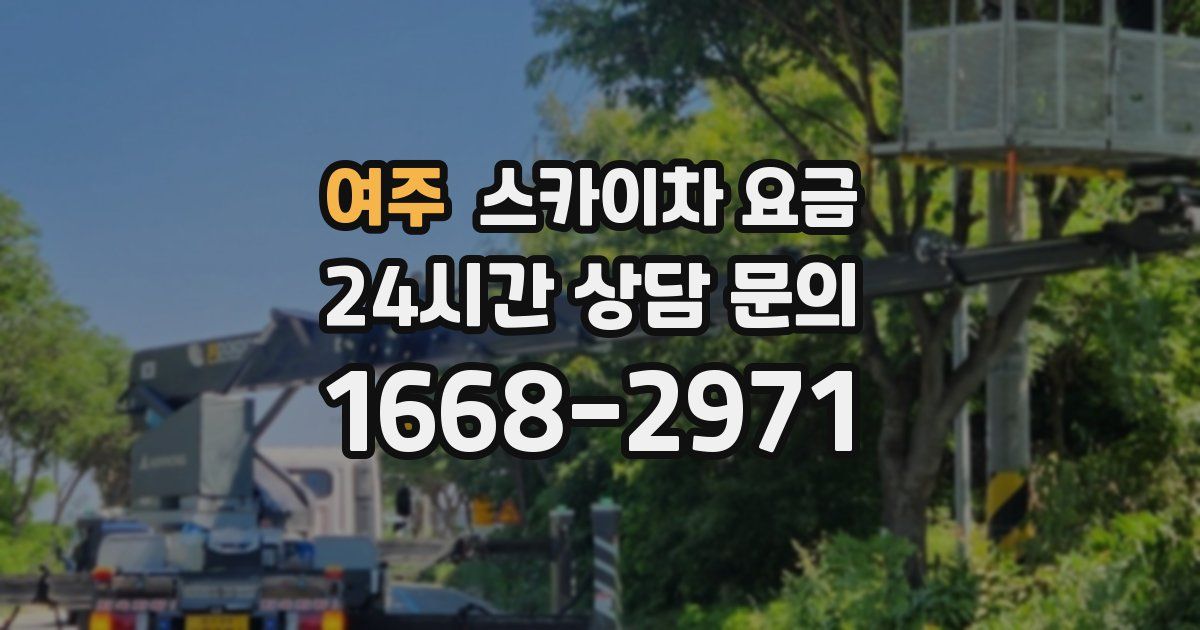 여주 스카이차 요금