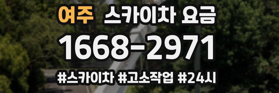 여주 스카이차 요금