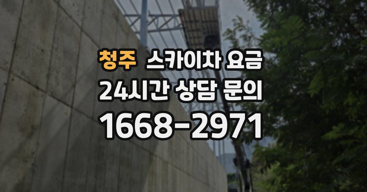 청주 스카이차 요금