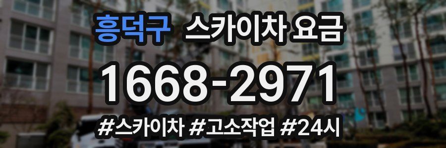 흥덕구 스카이차 요금