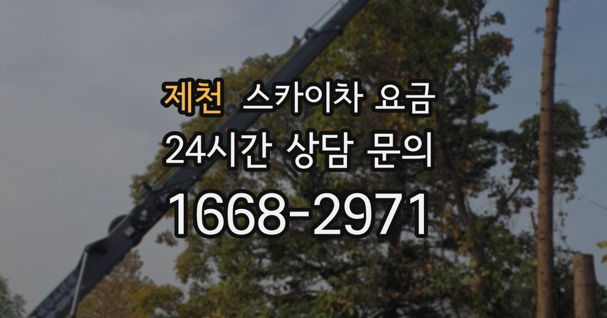 제천 스카이차 요금