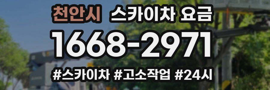 천안시 스카이차 요금